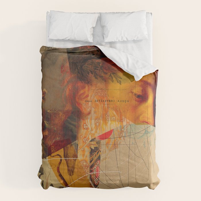 Transformations Comforter Gallery Image 1