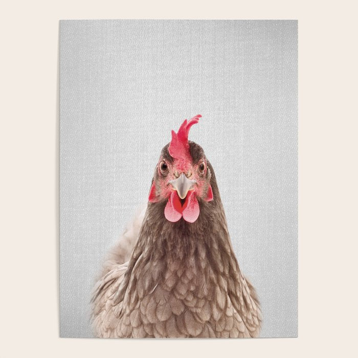 Chicken - Colorful Poster Gallery Image 4