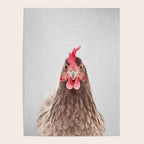 Chicken - Colorful Poster Gallery Image 4