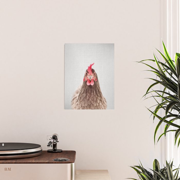 Chicken - Colorful Poster Gallery Image 2