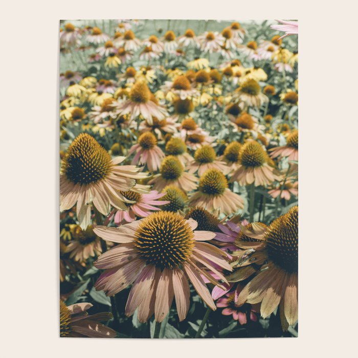 Summer in Full Bloom Poster Gallery Image 4