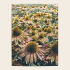 Summer in Full Bloom Poster Gallery Image 4