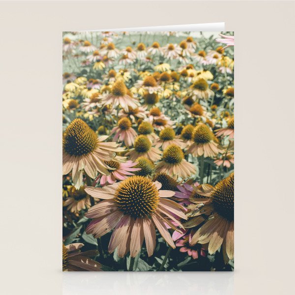 Summer in Full Bloom Stationery Card Gallery Image 1