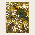 Citrine Poster Gallery Image 4