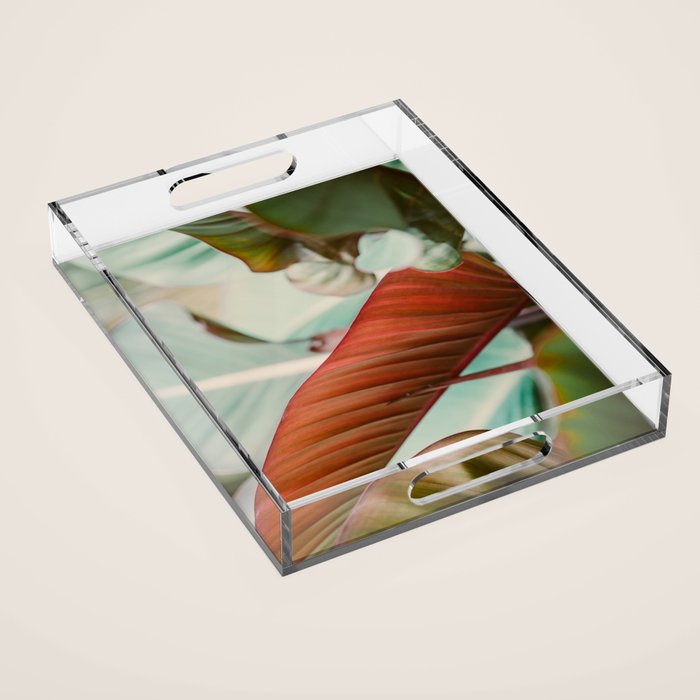 Tropical Hues Acrylic Tray Gallery Image 1