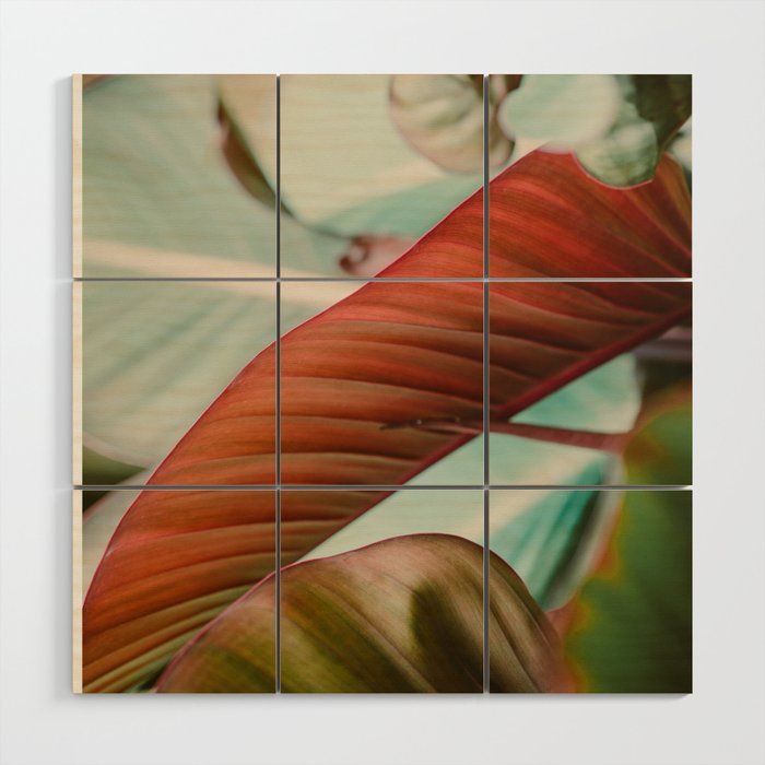 Tropical Hues Wood Wall Art Gallery Image 1
