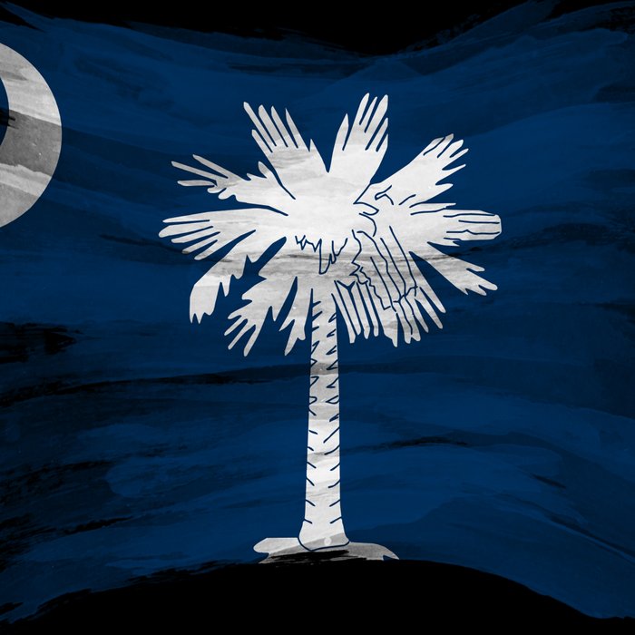 South Carolina state flag brush stroke, South Carolina flag background Coffee Mug Gallery Image 2