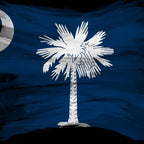 South Carolina state flag brush stroke, South Carolina flag background Coffee Mug Gallery Image 2