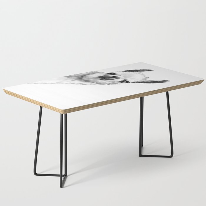 Sneaky Llama Black and White Coffee Table Gallery Image 1