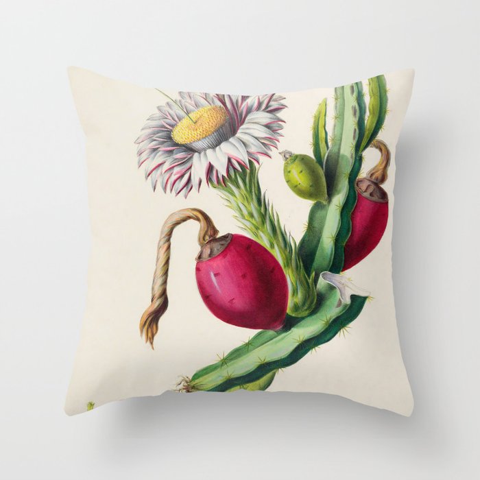 Cactus from "Flore dâAmÃ©rique" by Ãtienne Denisse, 1840s Throw Pillow Gallery Image 6