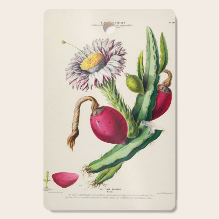 Cactus from "Flore dâAmÃ©rique" by Ãtienne Denisse, 1840s Cutting Board Gallery Image 1