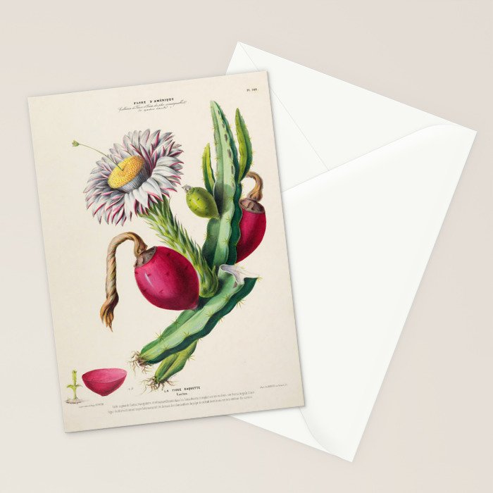 Cactus from "Flore dâAmÃ©rique" by Ãtienne Denisse, 1840s Stationery Card Gallery Image 2