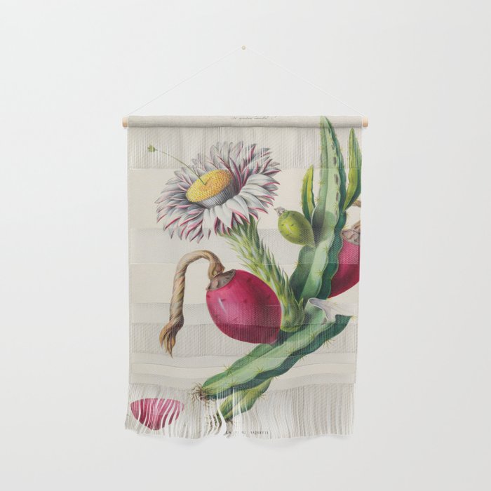 Cactus from "Flore dâAmÃ©rique" by Ãtienne Denisse, 1840s Wall Hanging Gallery Image 1