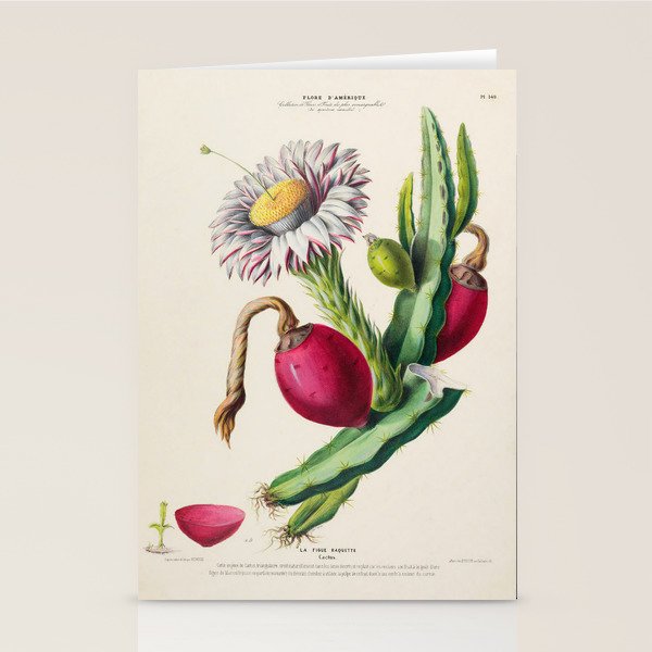 Cactus from "Flore dâAmÃ©rique" by Ãtienne Denisse, 1840s Stationery Card Gallery Image 2