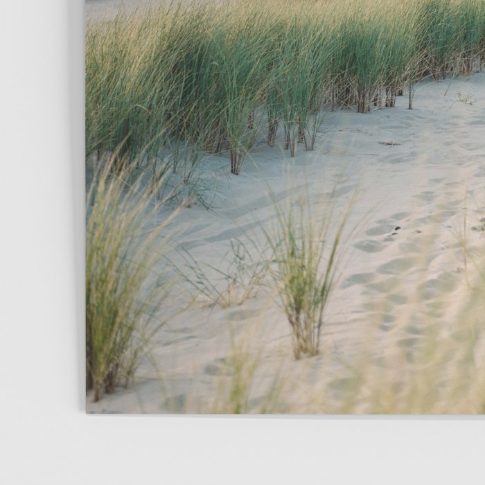 Dunes of Holland | Sunset travel photography | Pastel fine art beach print Poster Gallery Image 3