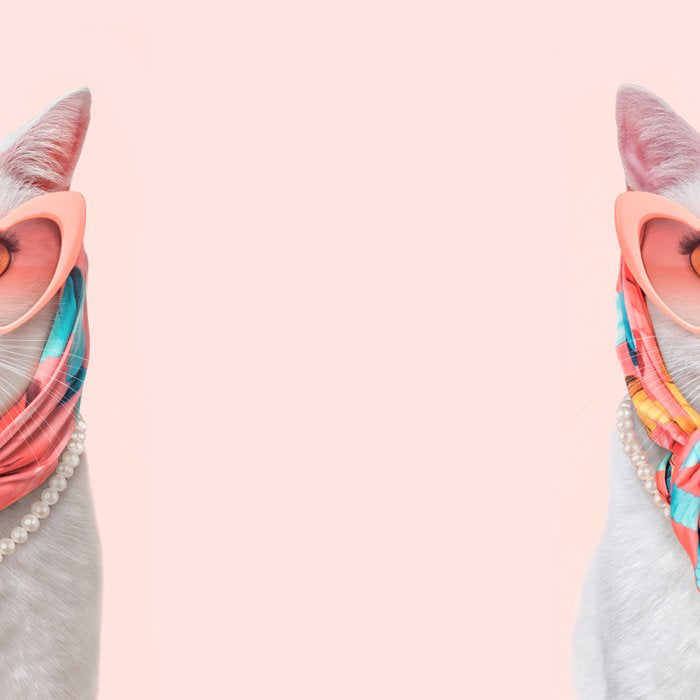 FASHION CAT Coffee Mug Gallery Image 2