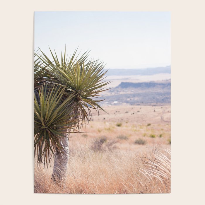 Marfa I - Home on the Range Poster Gallery Image 4