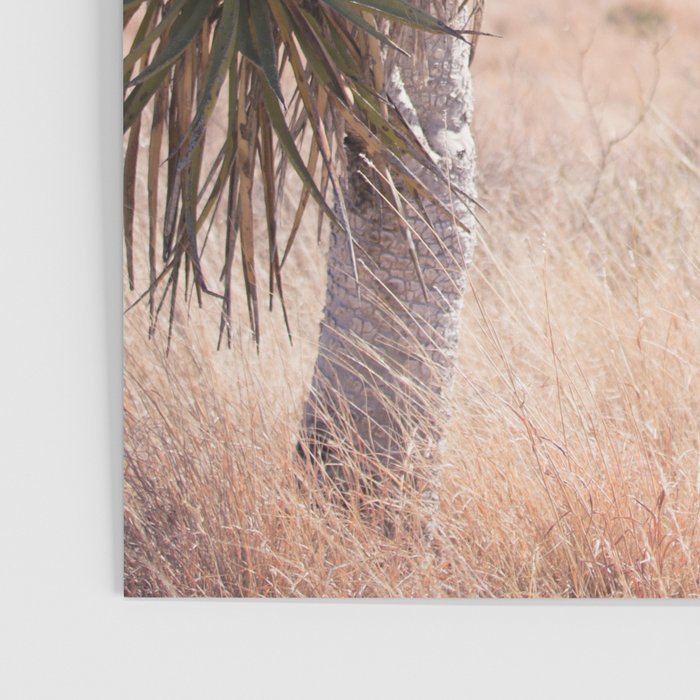 Marfa I - Home on the Range Poster Gallery Image 3