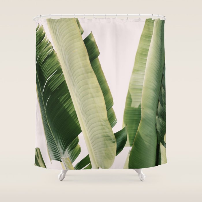 Banana Leaf #1 Shower Curtain Gallery Image 1
