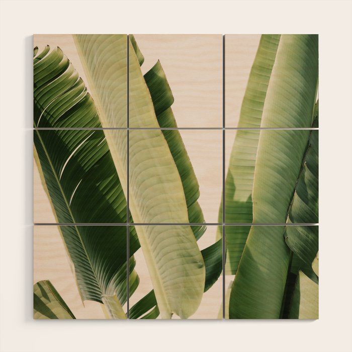 Banana Leaf #1 Wood Wall Art Gallery Image 1