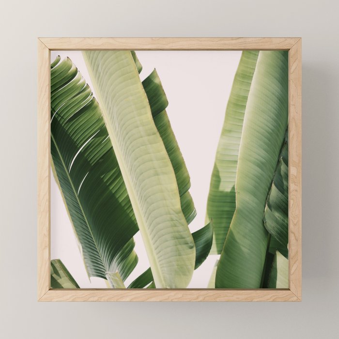 Banana Leaf #1 Mini Art Print Gallery Image 1