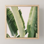 Banana Leaf #1 Mini Art Print Gallery Image 1