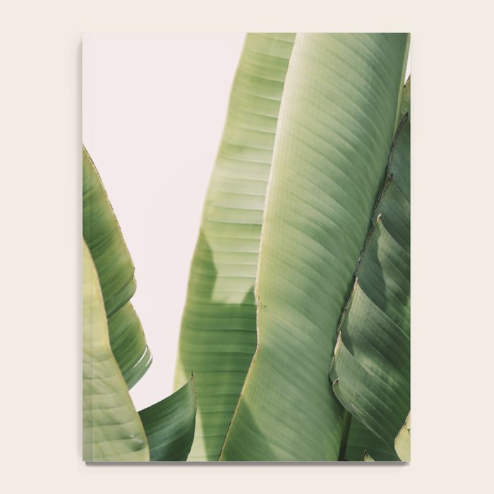Banana Leaf #1 Notebook Gallery Image 4