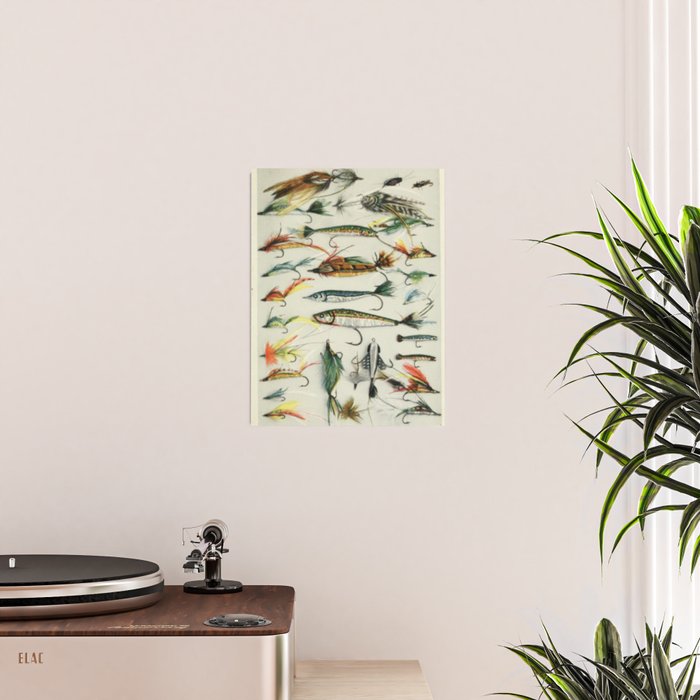 Fishing Lures Poster Gallery Image 2