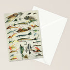 Fishing Lures Stationery Card Gallery Image 2