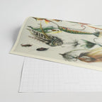 Fishing Lures Wrapping Paper Gallery Image 2