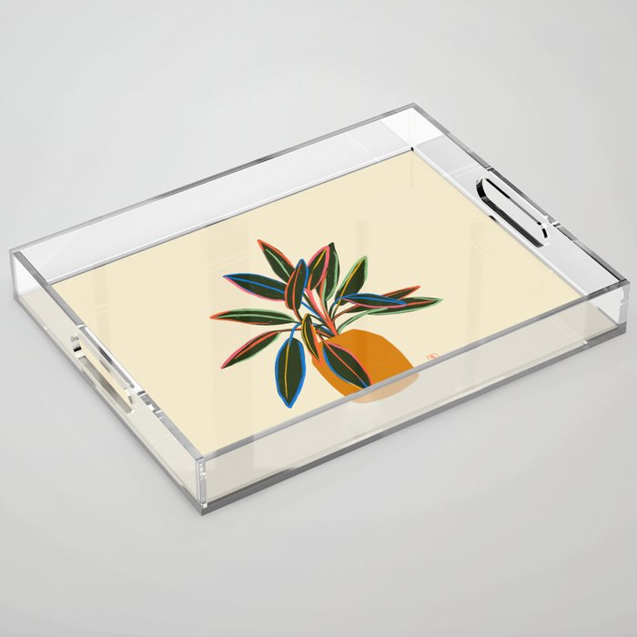 PLANT WITH COLOURFUL LEAVES  Acrylic Tray Gallery Image 1