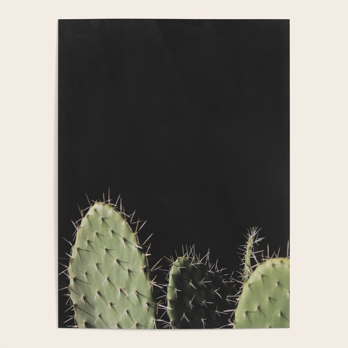 Cactus Poster Gallery Image 1