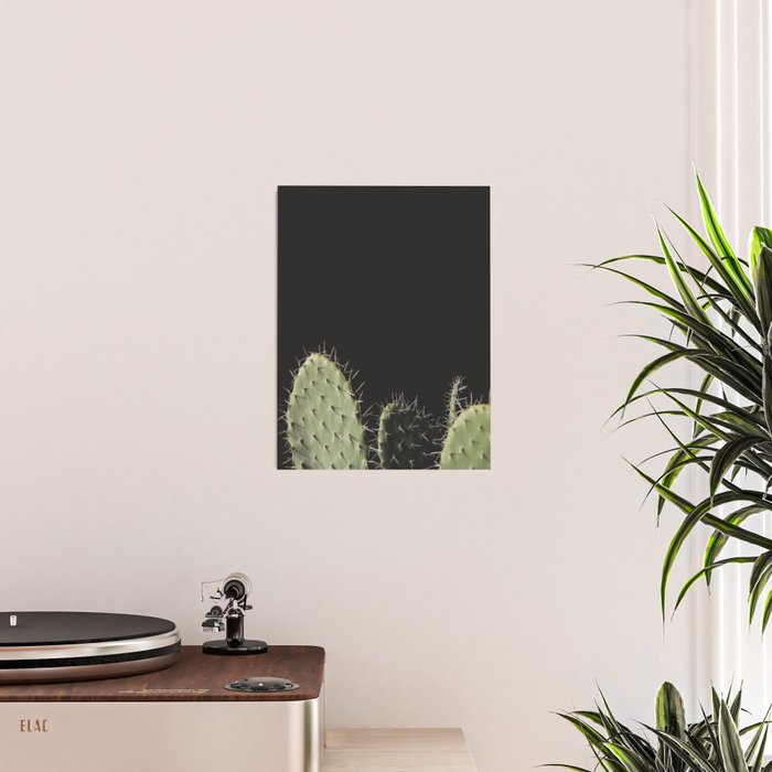 Cactus Poster Gallery Image 2