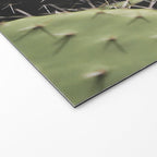 Cactus Welcome Mat Gallery Image 2