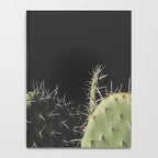 Cactus Notebook Gallery Image 4