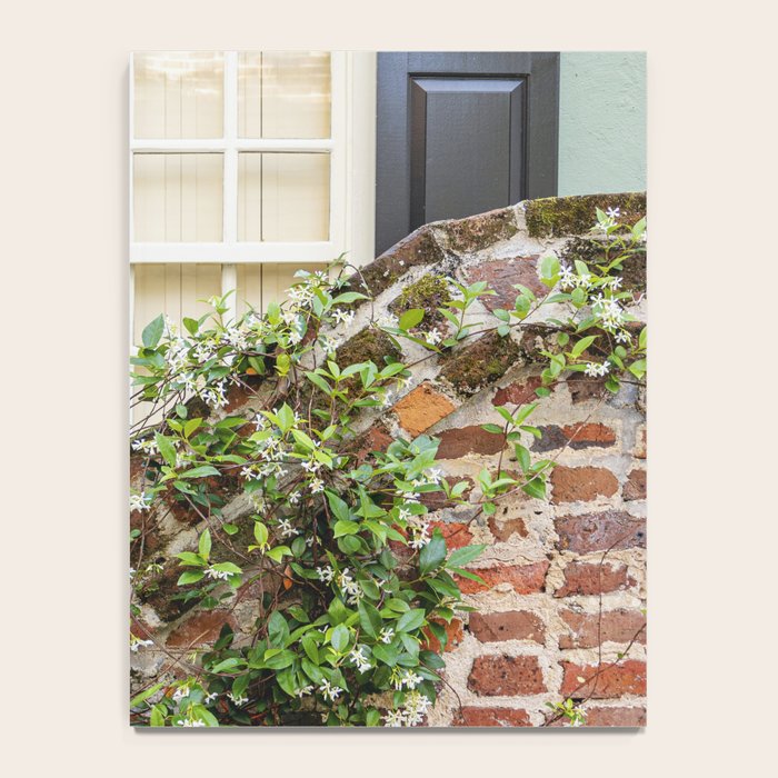 Colors of Charleston, No. 1 x Charleston South Carolina Photography Notebook Gallery Image 4