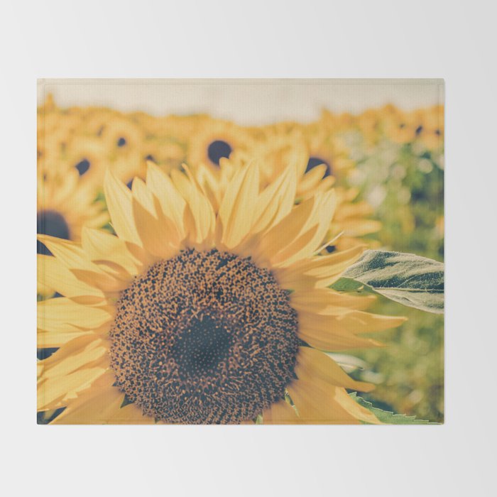 Sunflower Field Throw Blanket Gallery Image 2