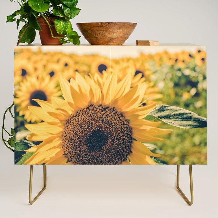 Sunflower Field Credenza Gallery Image 1