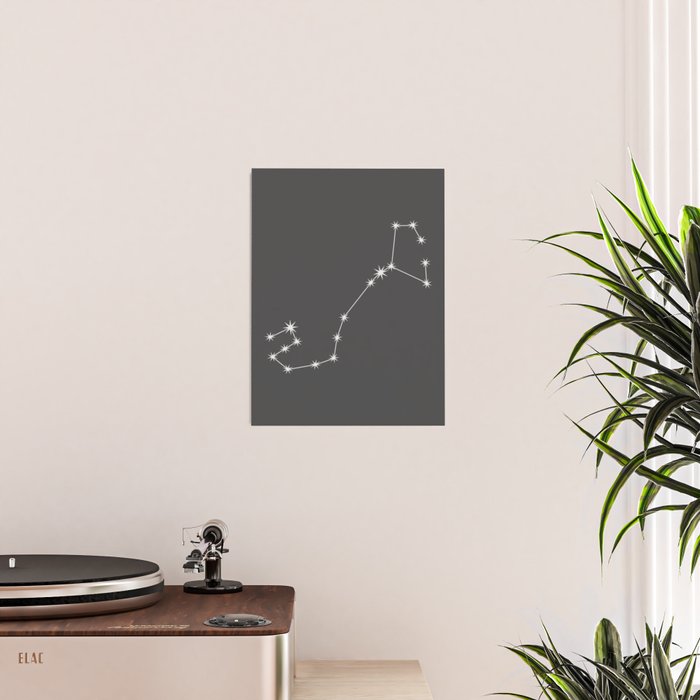 Scorpio Zodiac Star Constellation Line Art Grey Poster Gallery Image 2