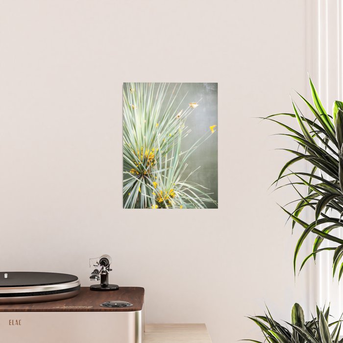 Botanical Oaxaca | Travel Photography Mexico  Poster Gallery Image 2