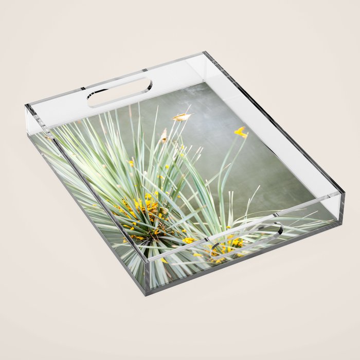 Botanical Oaxaca | Travel Photography Mexico  Acrylic Tray Gallery Image 1