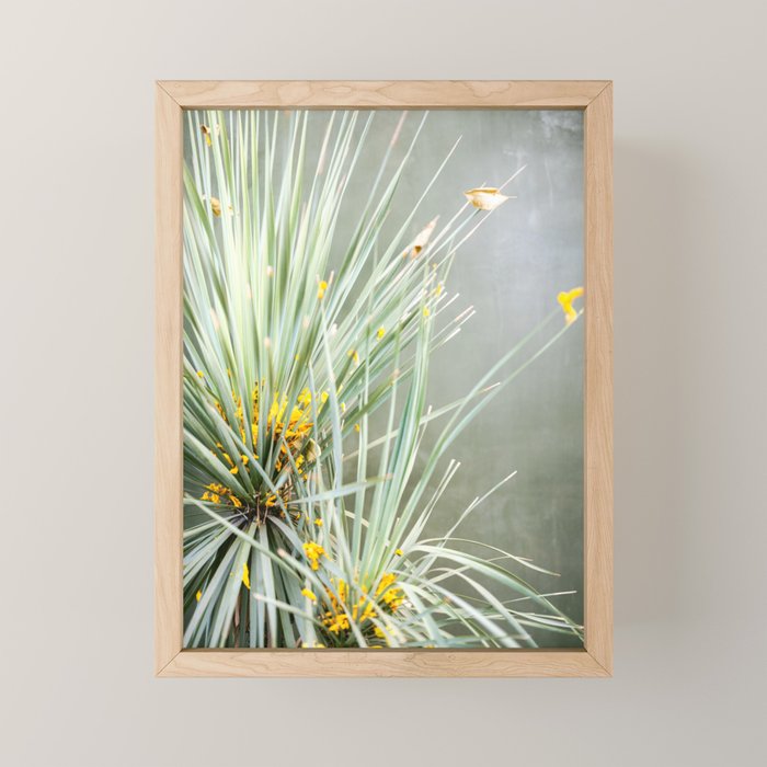 Botanical Oaxaca | Travel Photography Mexico  Mini Art Print Gallery Image 1