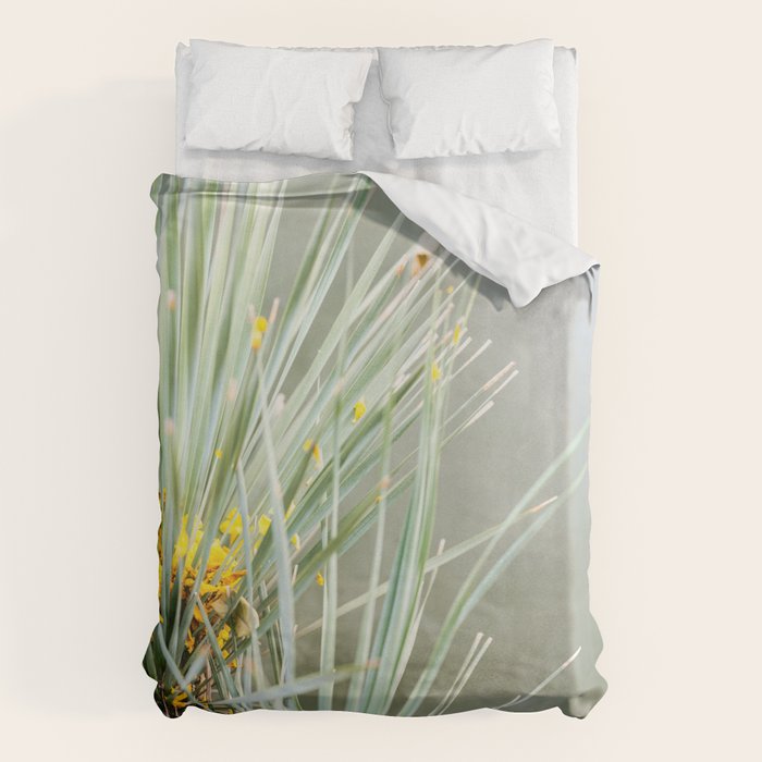Botanical Oaxaca | Travel Photography Mexico  Duvet Cover Gallery Image 1
