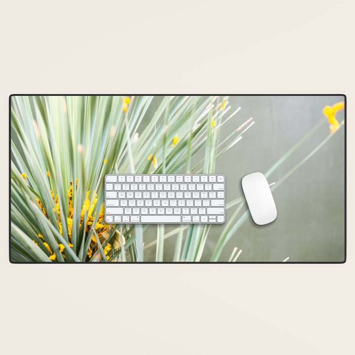 Botanical Oaxaca | Travel Photography Mexico  Desk Mat Gallery Image 1