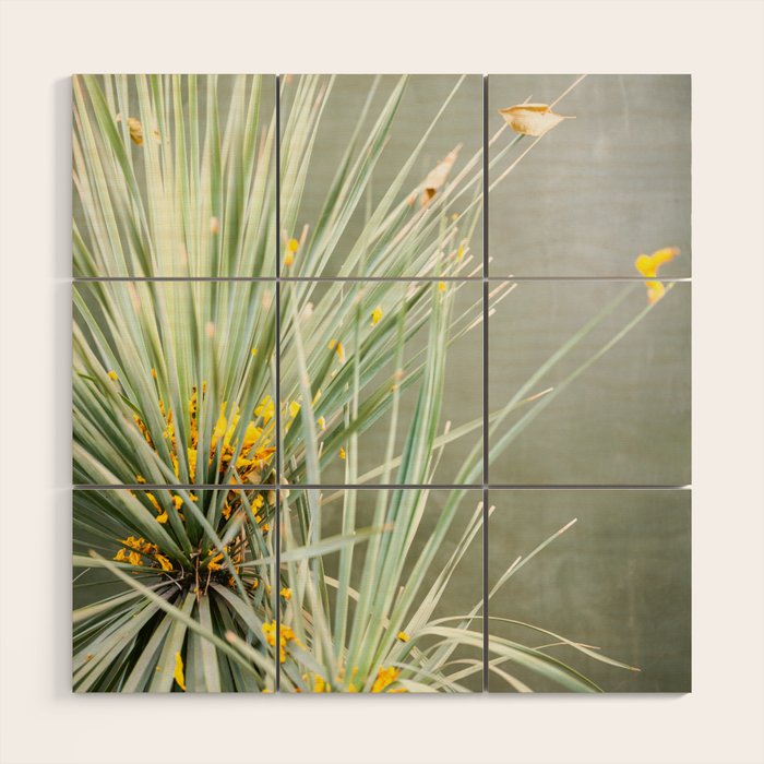 Botanical Oaxaca | Travel Photography Mexico  Wood Wall Art Gallery Image 1