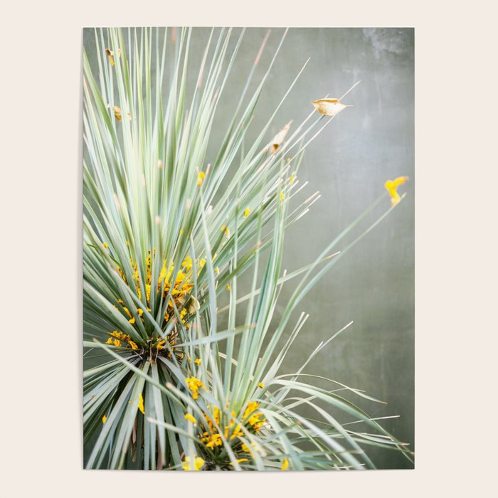 Botanical Oaxaca | Travel Photography Mexico  Poster Gallery Image 4