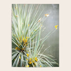 Botanical Oaxaca | Travel Photography Mexico  Poster Gallery Image 4