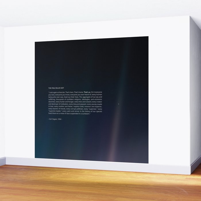 The Pale Blue Dot  Wall Mural Gallery Image 2