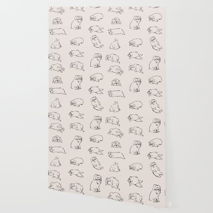 More Sleep Shih Tzu Wallpaper Gallery Image 2