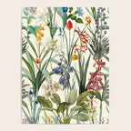 Vintage Garden XX Poster Gallery Image 4